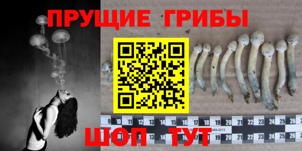Галлюциногенные грибы GOLDEN TEACHER Элиста